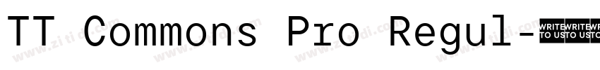 TT Commons Pro Regul字体转换 TT Commons Pro Regul字体转换